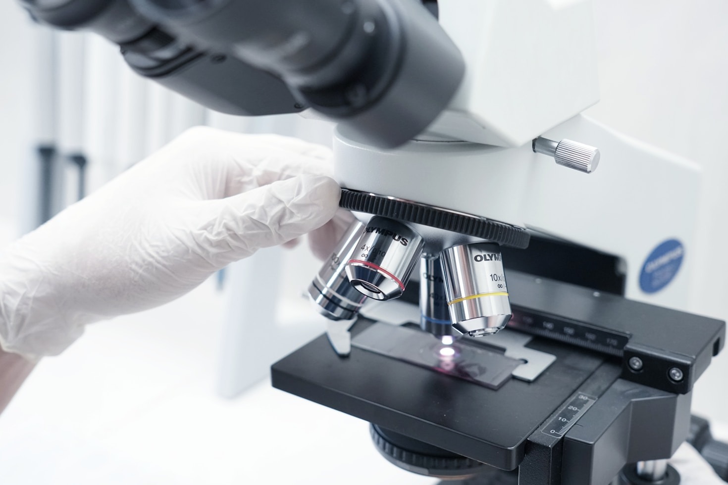 Understanding The Biochemical Impact Of Peptides